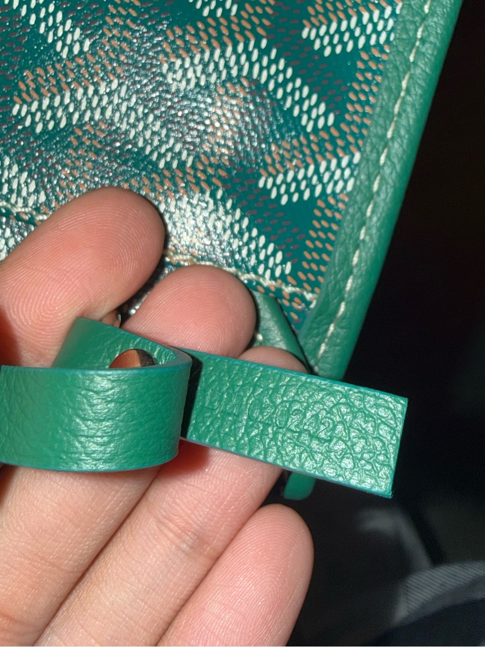 Goyardine Saint Louis PM Green - Picture 6 of 7